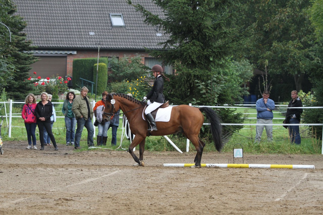 Bild 203 - WBO-Turnier am 18.9.11